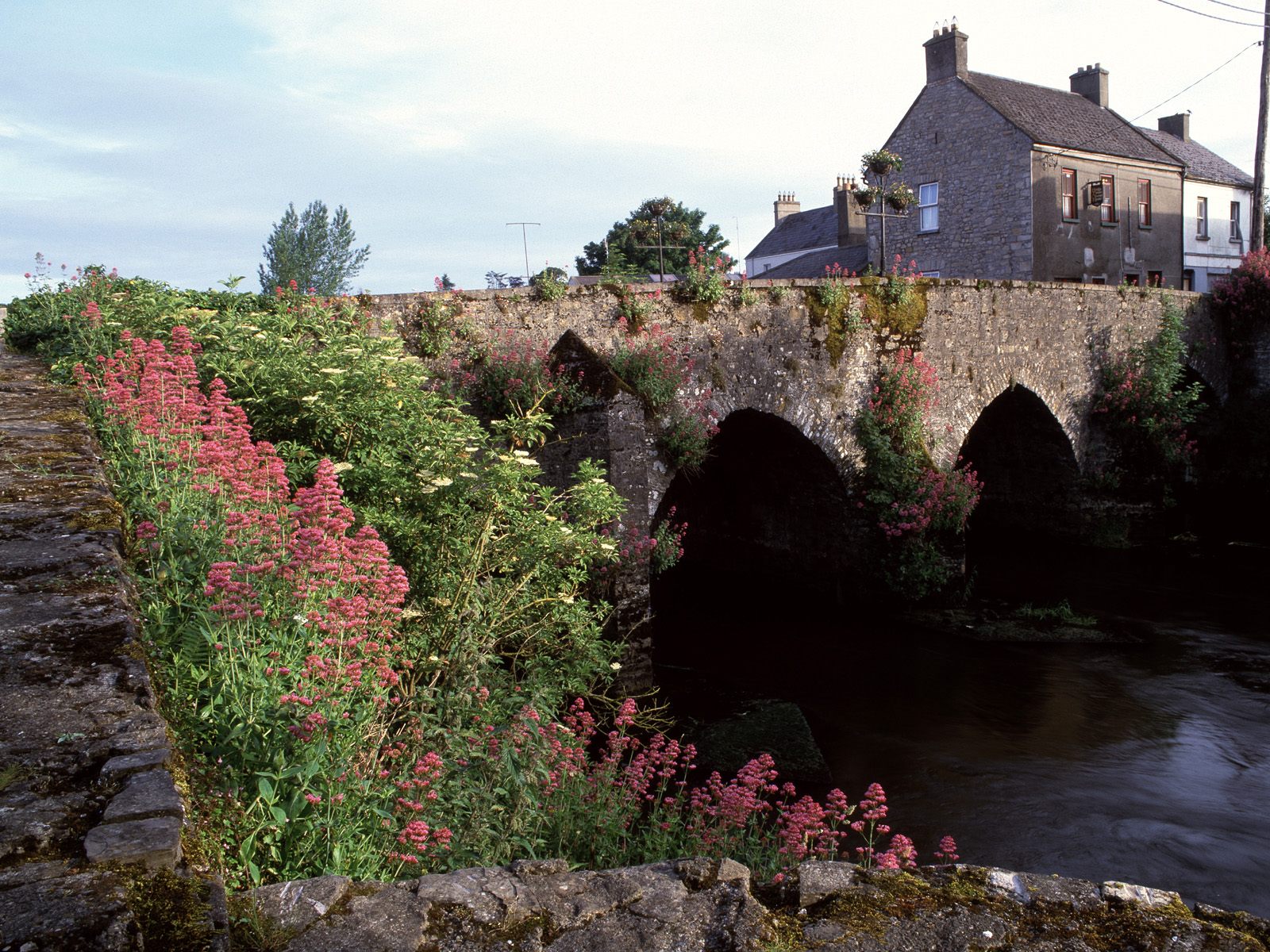 River Boyne County Meath Ireland